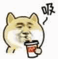 1.gif