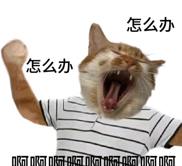 8.jpeg